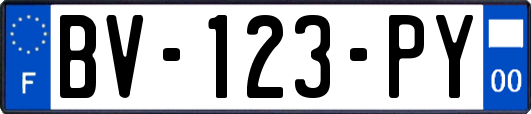 BV-123-PY