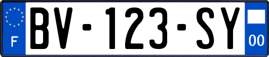 BV-123-SY