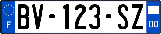 BV-123-SZ