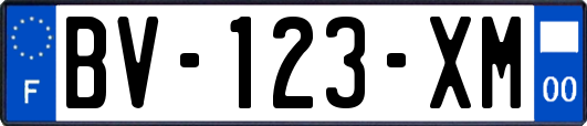 BV-123-XM