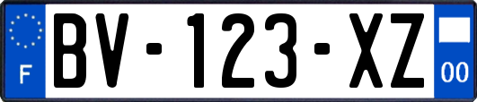 BV-123-XZ