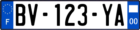 BV-123-YA