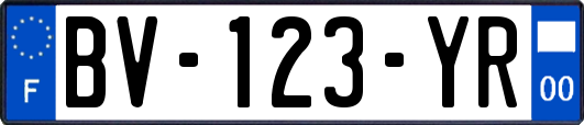 BV-123-YR