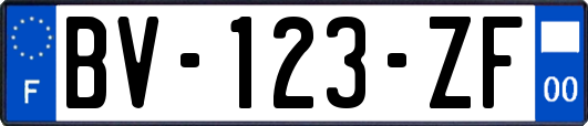 BV-123-ZF