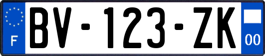 BV-123-ZK