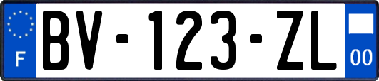 BV-123-ZL