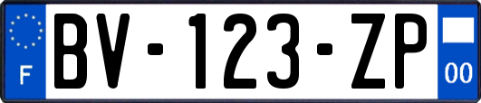 BV-123-ZP