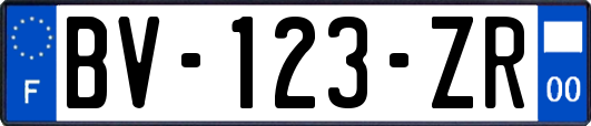 BV-123-ZR