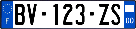 BV-123-ZS