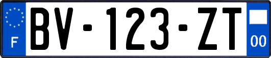 BV-123-ZT