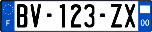 BV-123-ZX