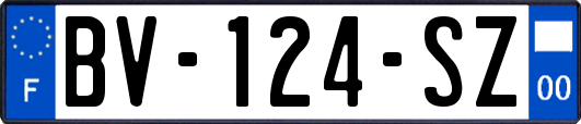 BV-124-SZ