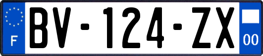 BV-124-ZX