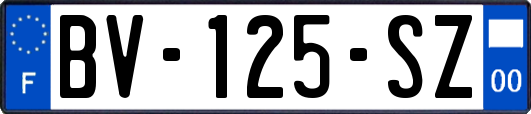 BV-125-SZ