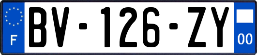 BV-126-ZY