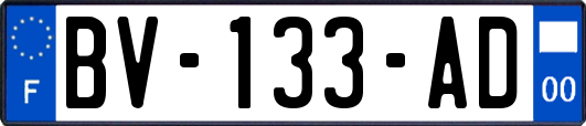 BV-133-AD