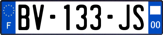 BV-133-JS