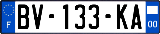 BV-133-KA