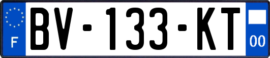 BV-133-KT