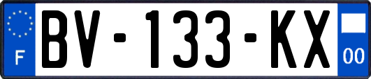 BV-133-KX