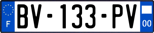 BV-133-PV