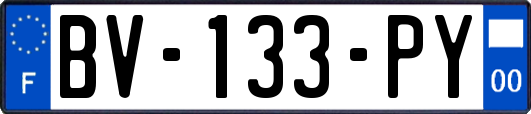 BV-133-PY