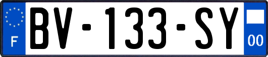 BV-133-SY