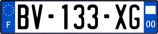 BV-133-XG
