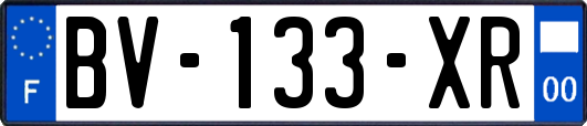 BV-133-XR