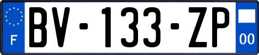 BV-133-ZP