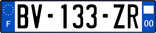 BV-133-ZR