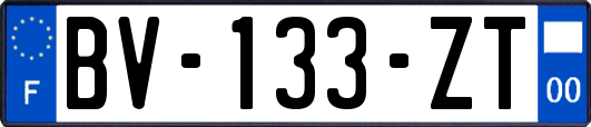 BV-133-ZT