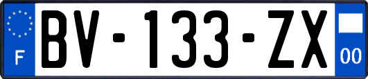 BV-133-ZX