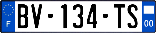 BV-134-TS