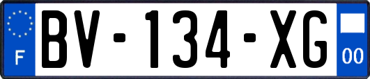 BV-134-XG