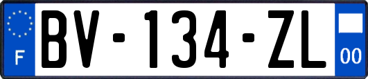 BV-134-ZL