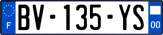 BV-135-YS