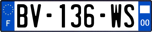 BV-136-WS