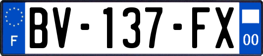 BV-137-FX