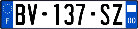 BV-137-SZ