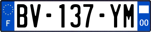 BV-137-YM