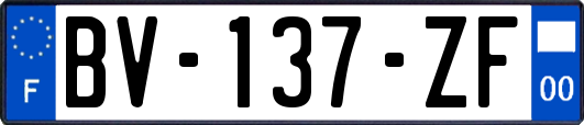 BV-137-ZF