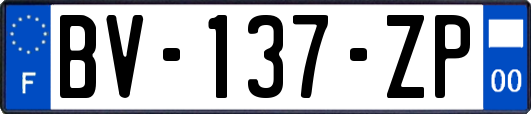 BV-137-ZP