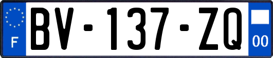 BV-137-ZQ