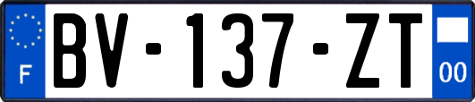 BV-137-ZT