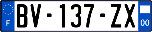 BV-137-ZX