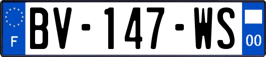 BV-147-WS