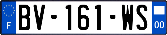 BV-161-WS