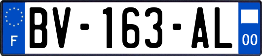 BV-163-AL