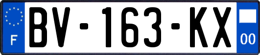 BV-163-KX